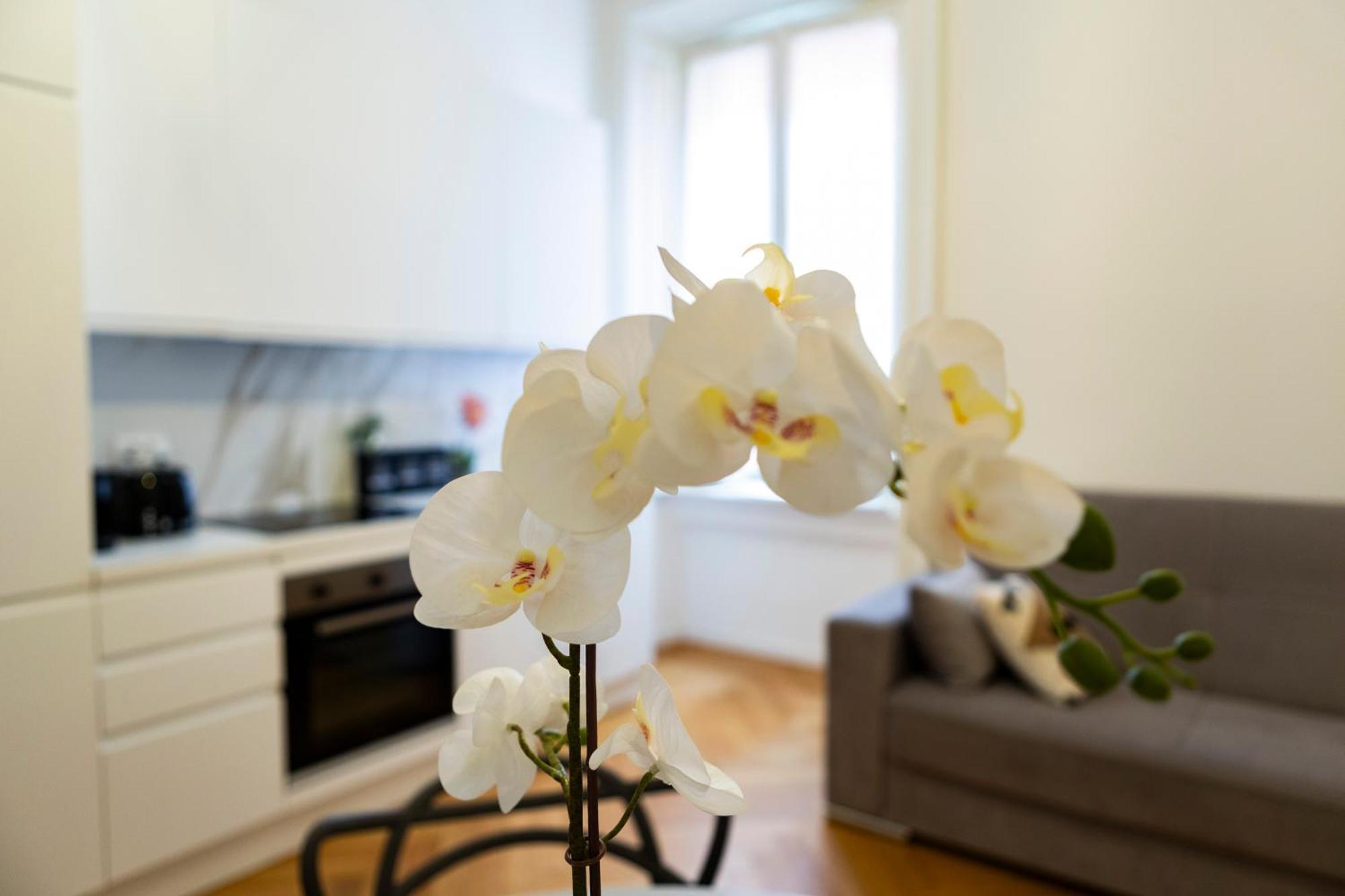 Macchi Delicious Apartment By 101Flats Milaan Buitenkant foto
